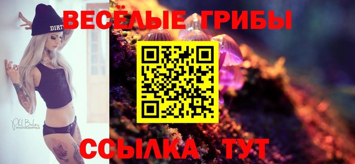 Псилоцибиновые грибы Psilocybine cubensis  Вход с VPN  где купить наркоту  Кингисепп  Галлюциногенные грибы Cubensis 